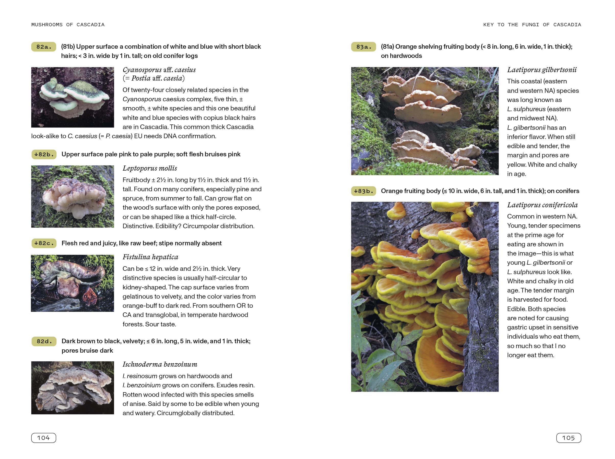 Mushrooms of Cascadia, Second Edition: An Illustrated Key to the Fungi of the Pacific Northwest