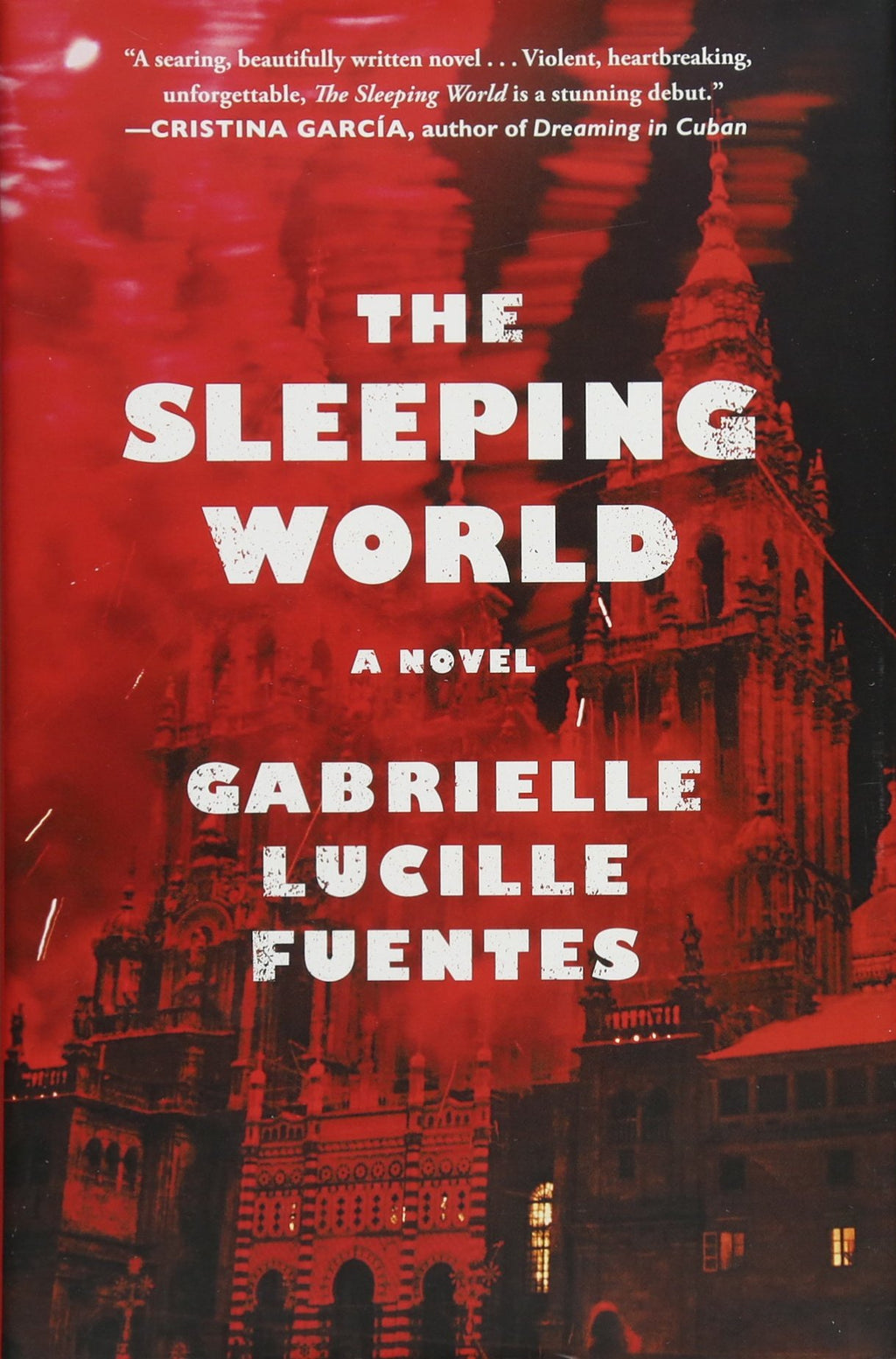 The Sleeping World: A Novel