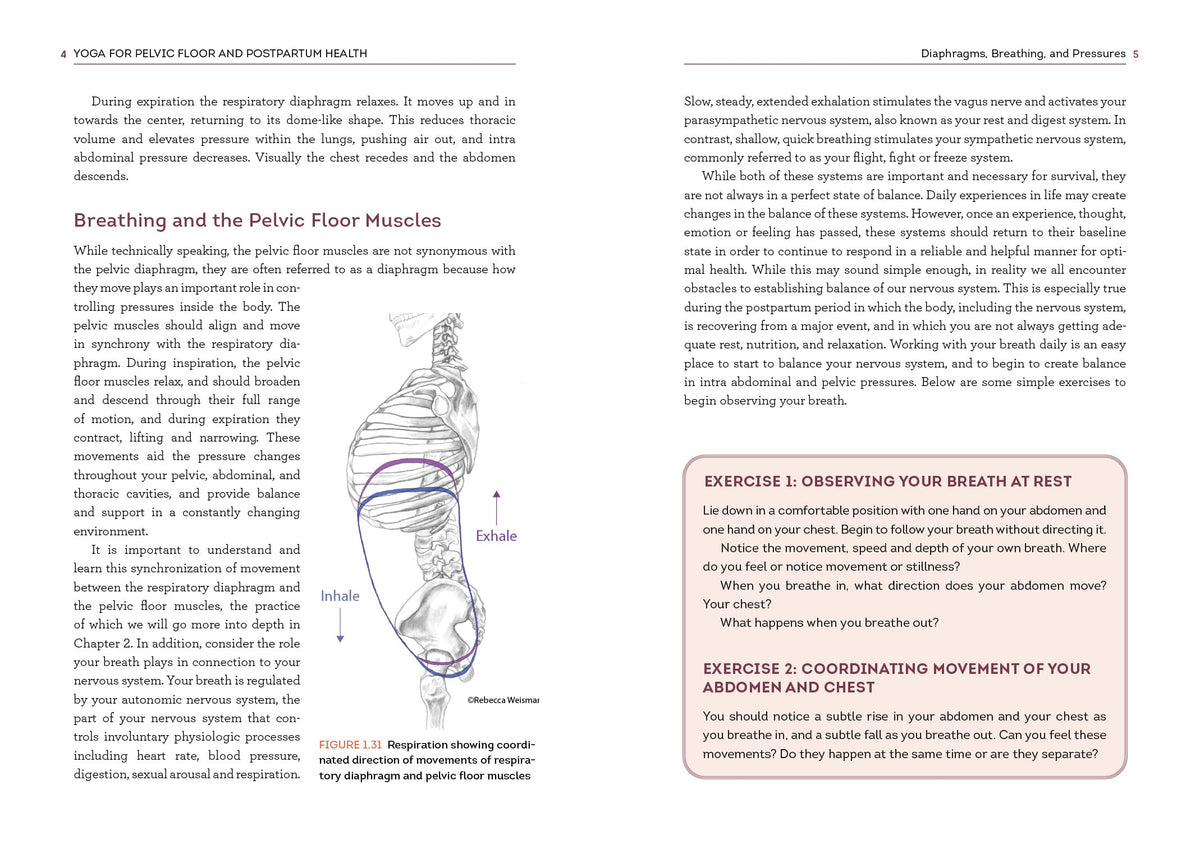 Yoga for Pelvic Floor and Postpartum Health: An Iyengar Yoga Approach to Pelvic Healing and Integrative Wellness through Anatomy and Practice