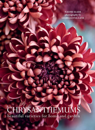 Chrysanthemums: Beautiful Varieties for Home and Garden (Flowers)