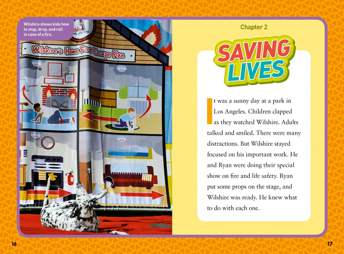 National Geographic Kids Chapters: Hero Dogs! (NGK Chapters)