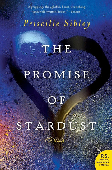 The Promise of Stardust: A Novel