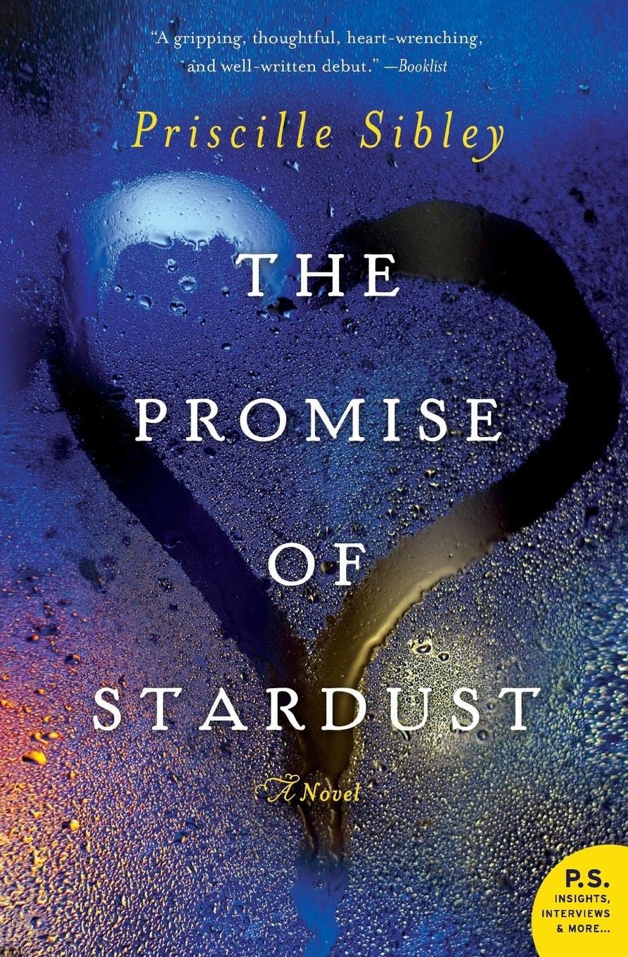 The Promise of Stardust: A Novel