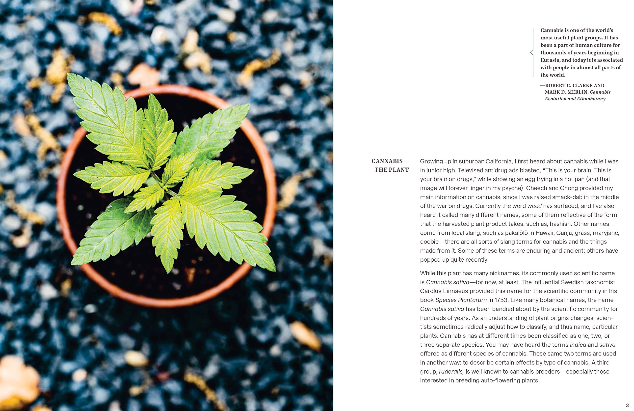 The Cannabis Gardener: A Beginner's Guide to Growing Vibrant, Healthy Plants in Every Region [A Marijuana Gardening Book]