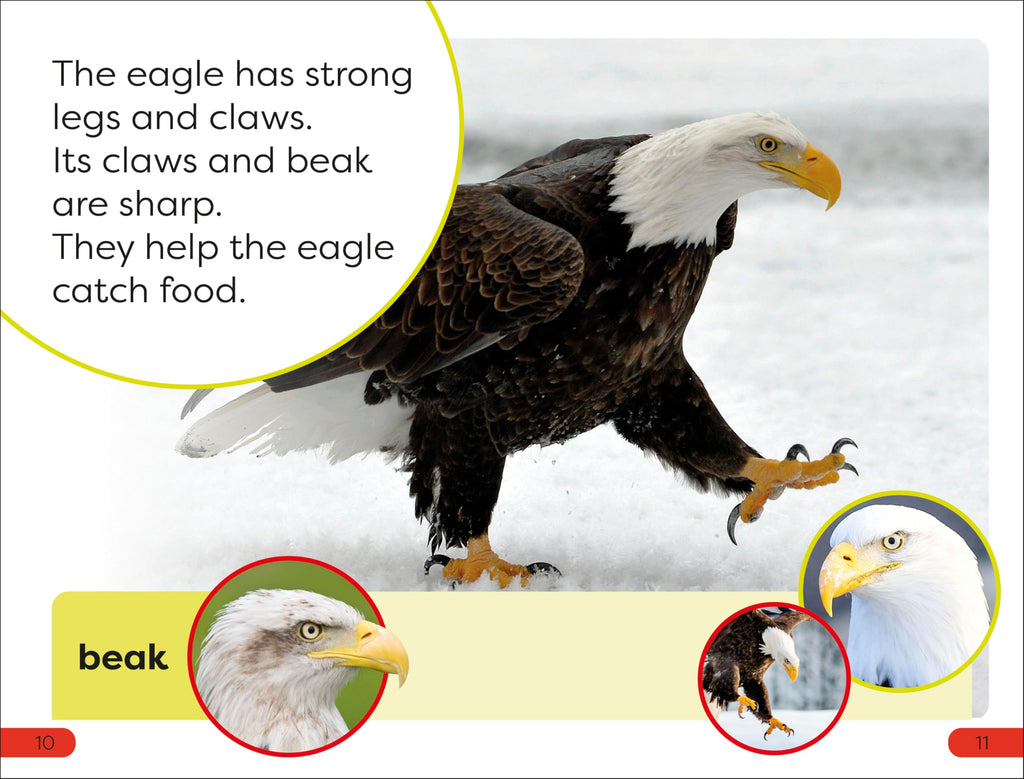 DK Super Readers Pre-level An Eagle's Tale