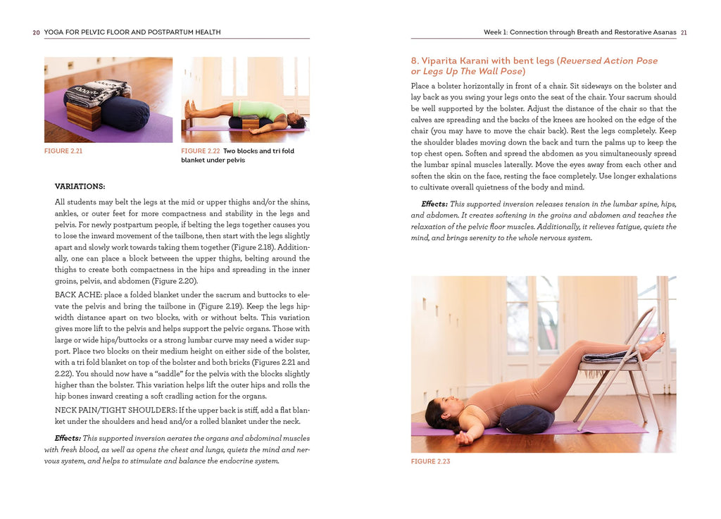 Yoga for Pelvic Floor and Postpartum Health: An Iyengar Yoga Approach to Pelvic Healing and Integrative Wellness through Anatomy and Practice