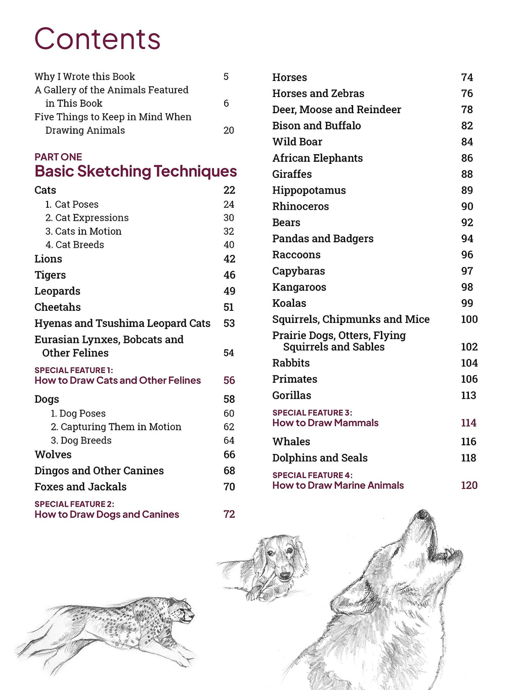 How to Draw Animals: A Visual Reference Guide to Sketching 100 Animals Including Popular Dog and Cat Breeds! (With over 800 illustrations)