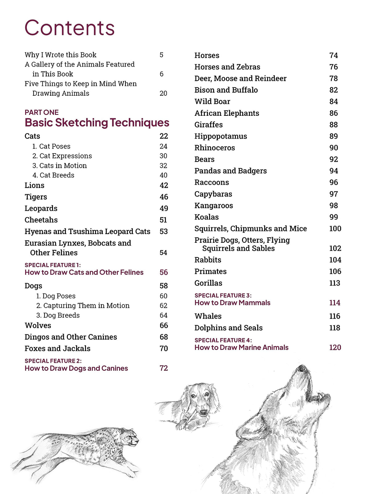 How to Draw Animals: A Visual Reference Guide to Sketching 100 Animals Including Popular Dog and Cat Breeds! (With over 800 illustrations)
