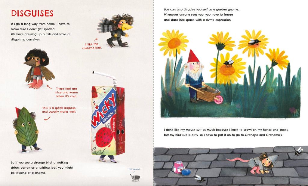 The Gnome Book