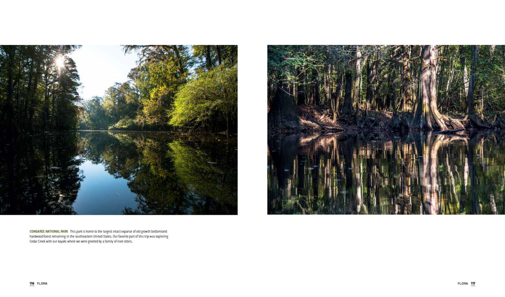 Parklands: America’s National Parks and Public Lands