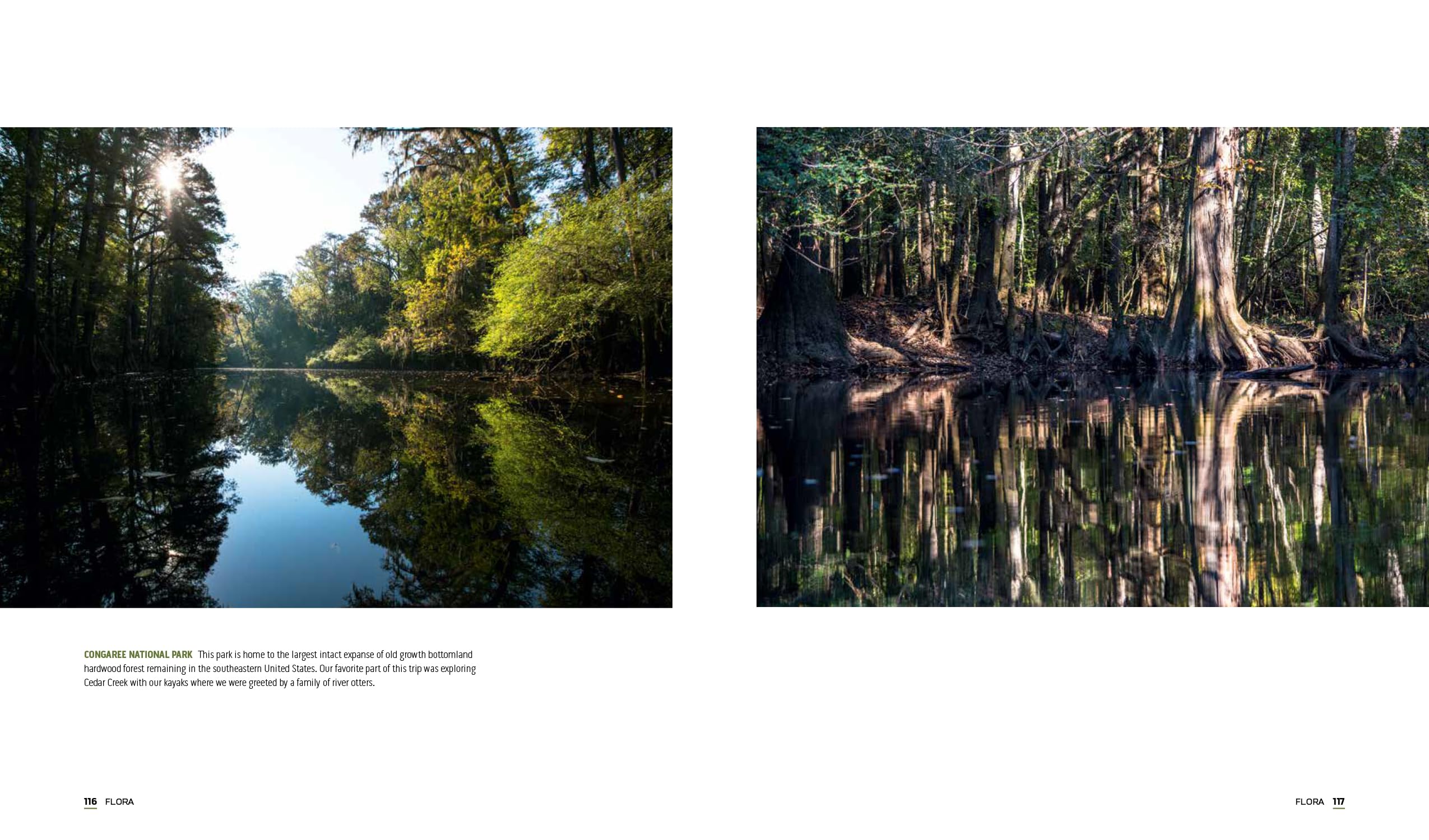 Parklands: America’s National Parks and Public Lands