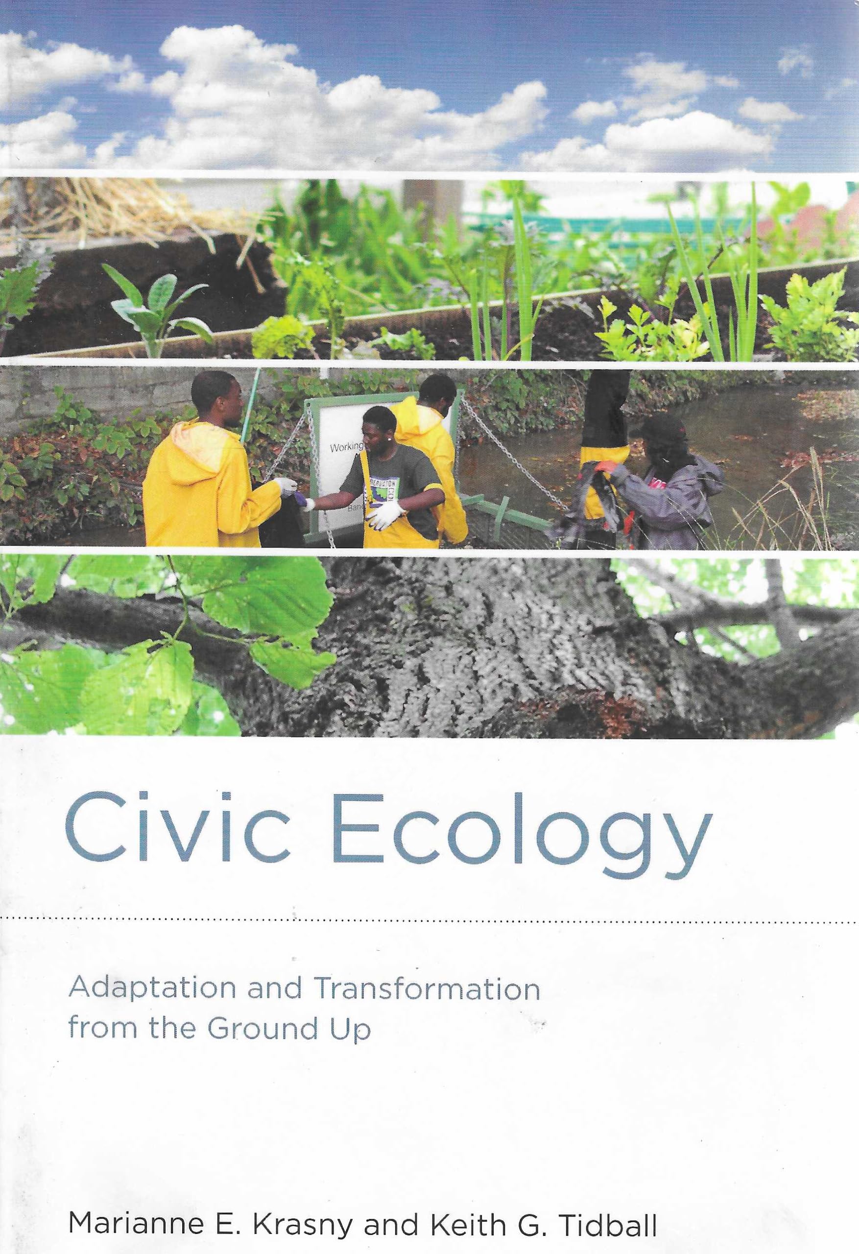Civic Ecology: Adaptation and Transformation from the Ground Up (Urban and Industrial Environments)
