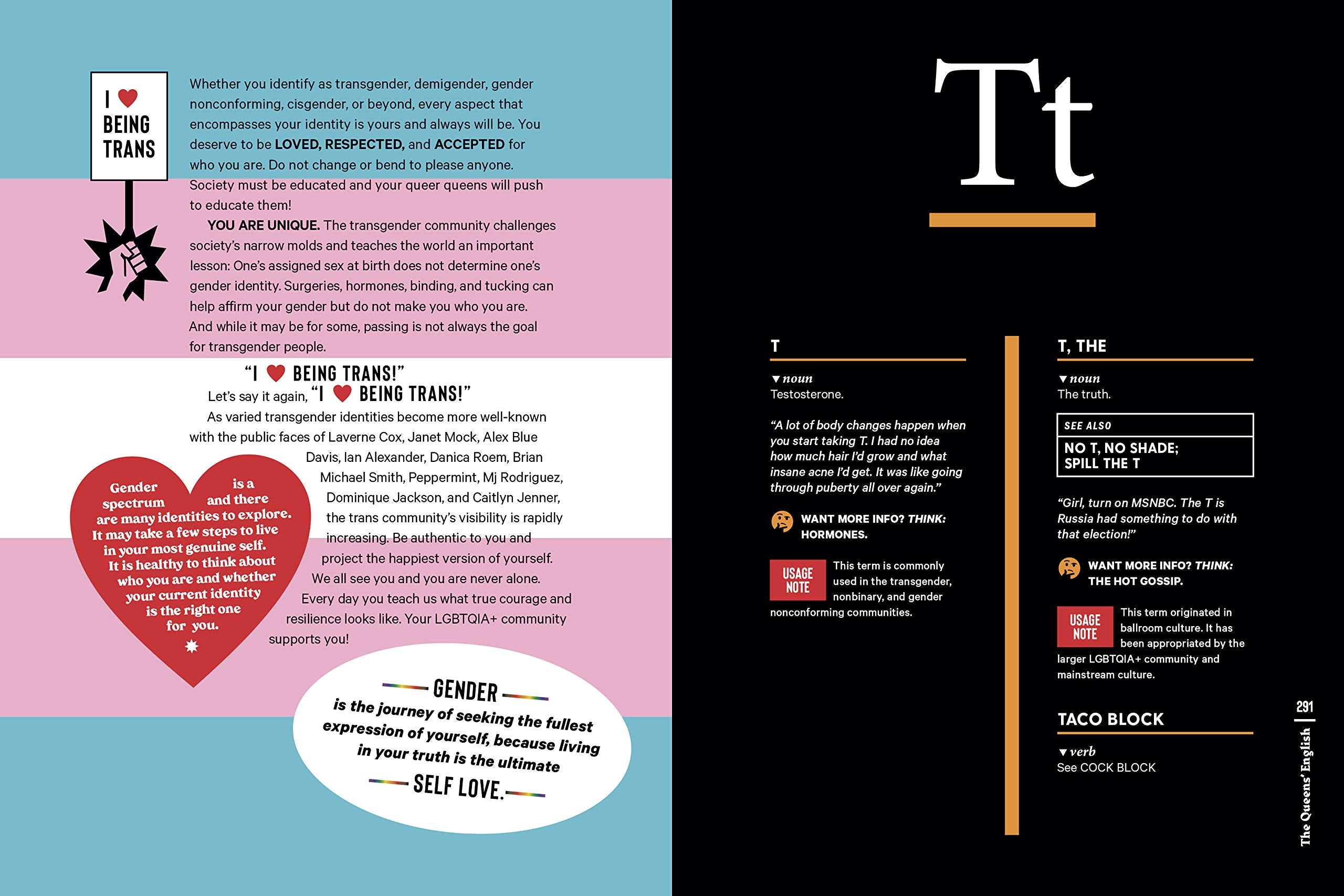The Queens' English: The LGBTQIA+ Dictionary of Lingo and Colloquial Phrases