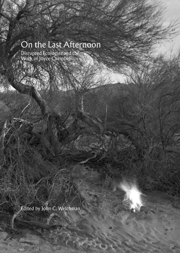 On the Last Afternoon: Disrupted Ecologies and the Work of Joyce Campbell (Sternberg Press)
