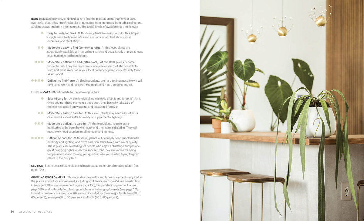 Welcome to the Jungle: Rare Tropical Houseplants to Collect, Grow, and Love