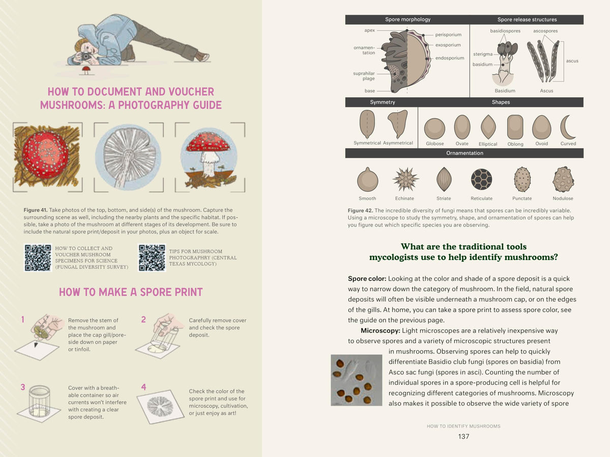 Dr. Fun Guy's Passport to Kingdom Fungi: A Scientist's Guide to the Wild and Wonderful World of Mushrooms, Molds, and More