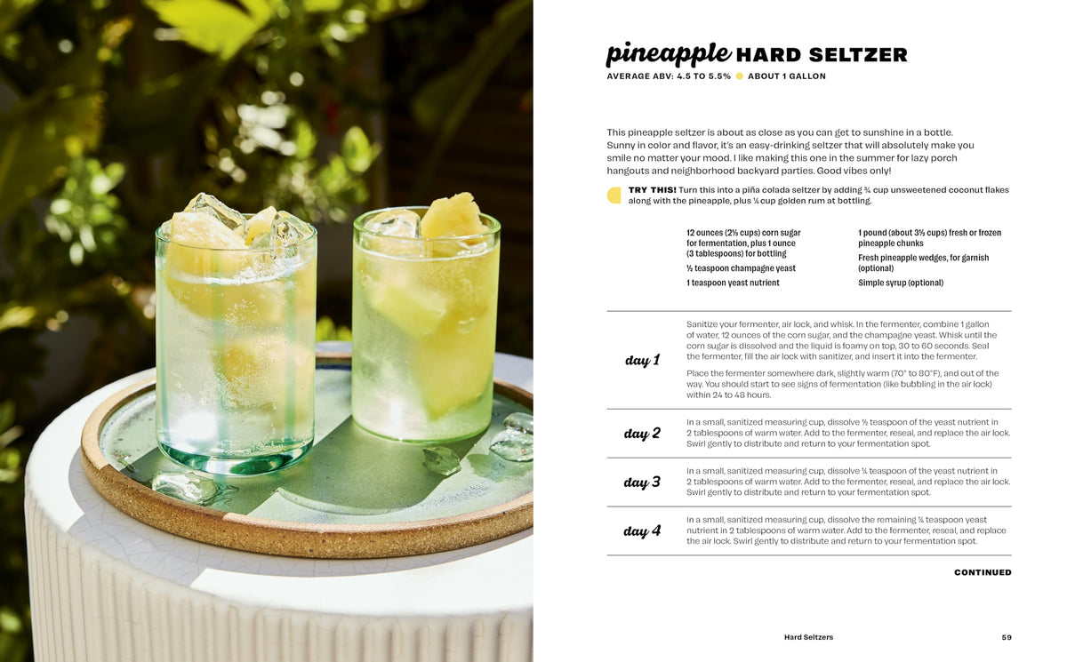 Hard Seltzer, Iced Tea, Kombucha, and Cider: How to Make Your Own Boozy Fermented Drinks