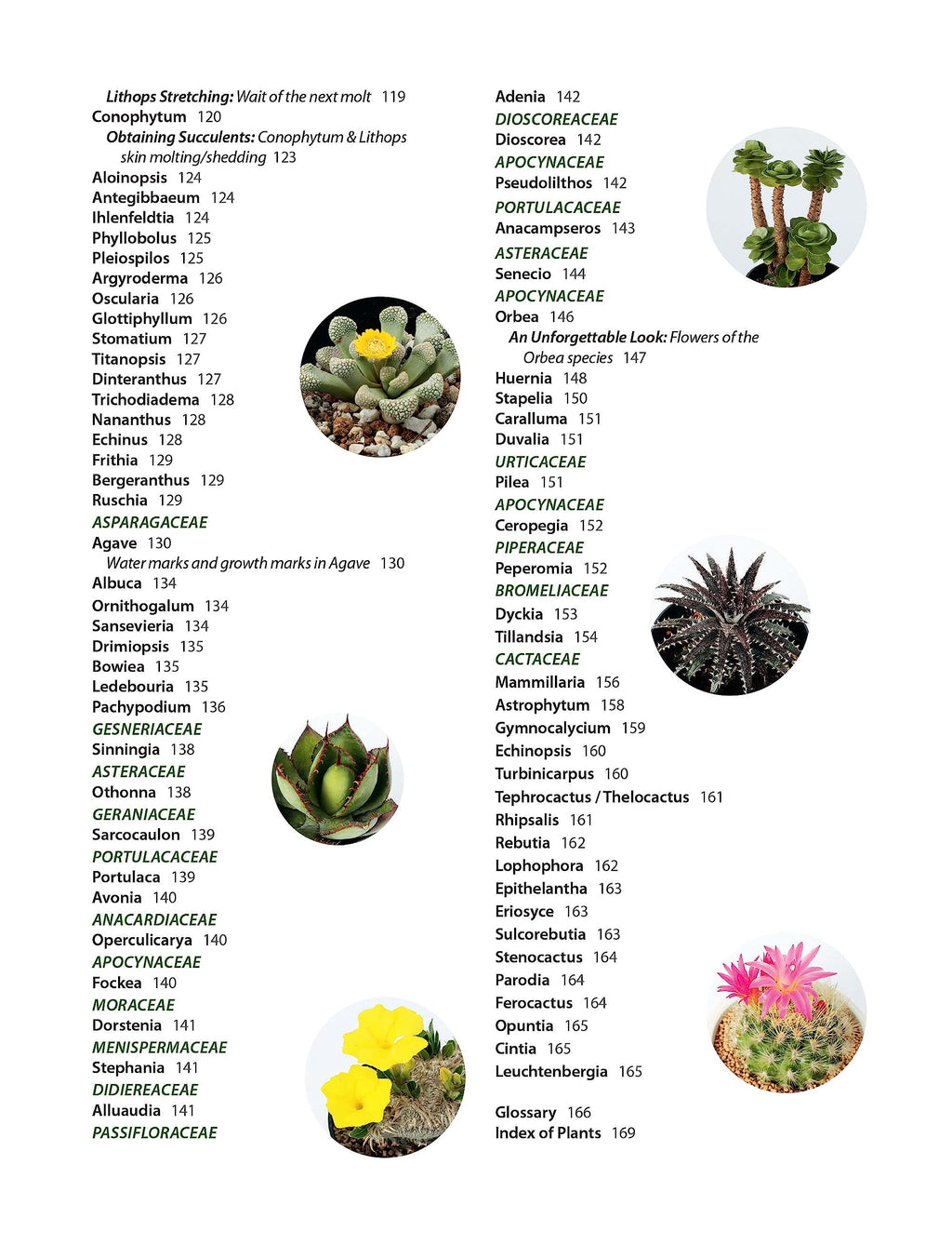 Growing Succulents: A Pictorial Guide (Over 1,500 photos and 700 plants)