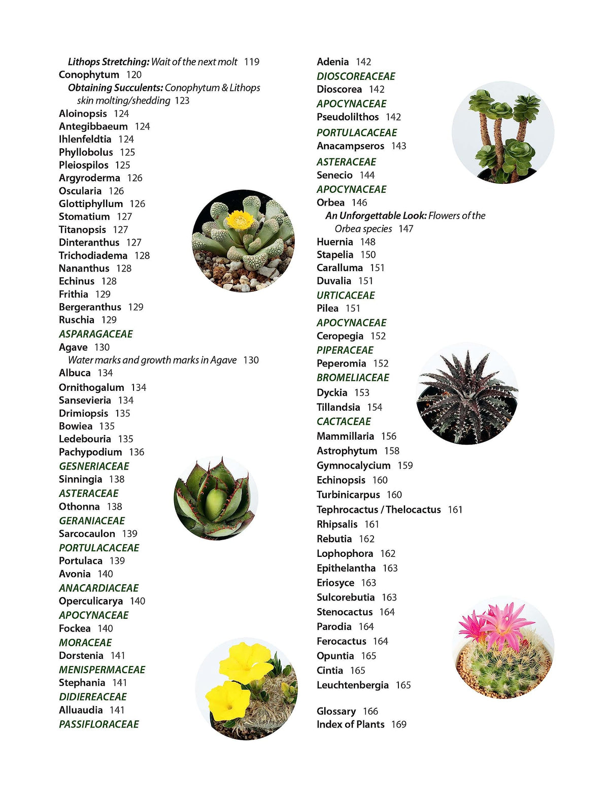 Growing Succulents: A Pictorial Guide (Over 1,500 photos and 700 plants)