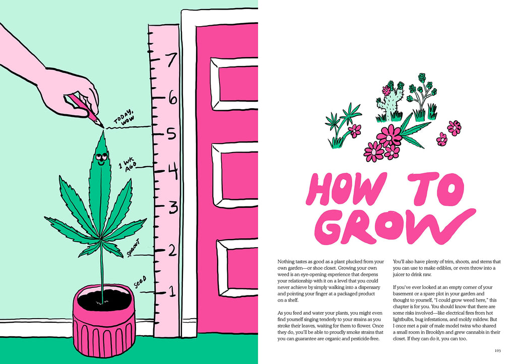 Weed: Everything You Want To Know But Are Always Too Stoned To Ask
