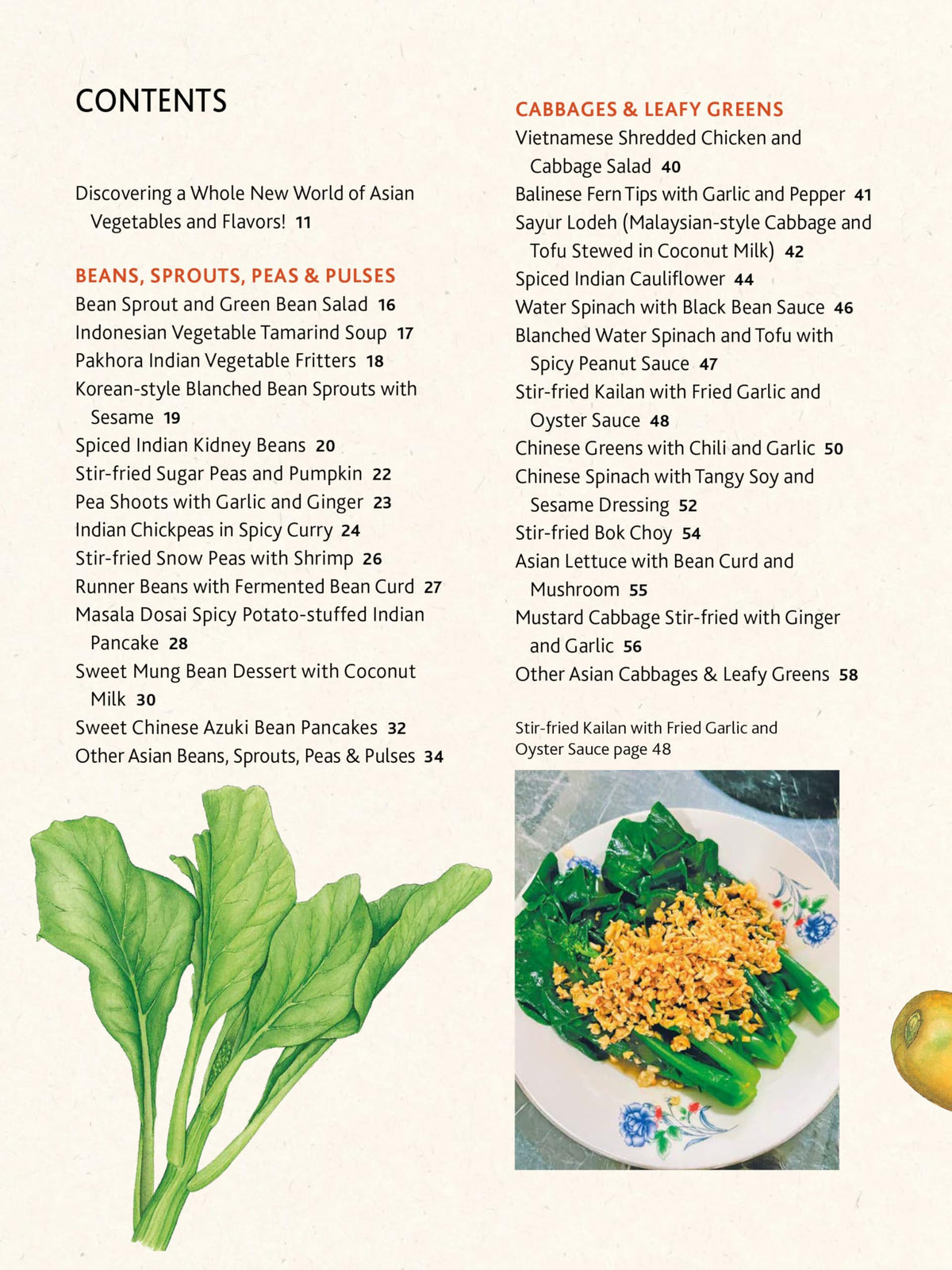 Asian Vegetables: A Cook's Bible: Descriptions and Illustrations of 139 Vegetables, Including Dried and Preserved Varieties with 145 Authentic Recipes