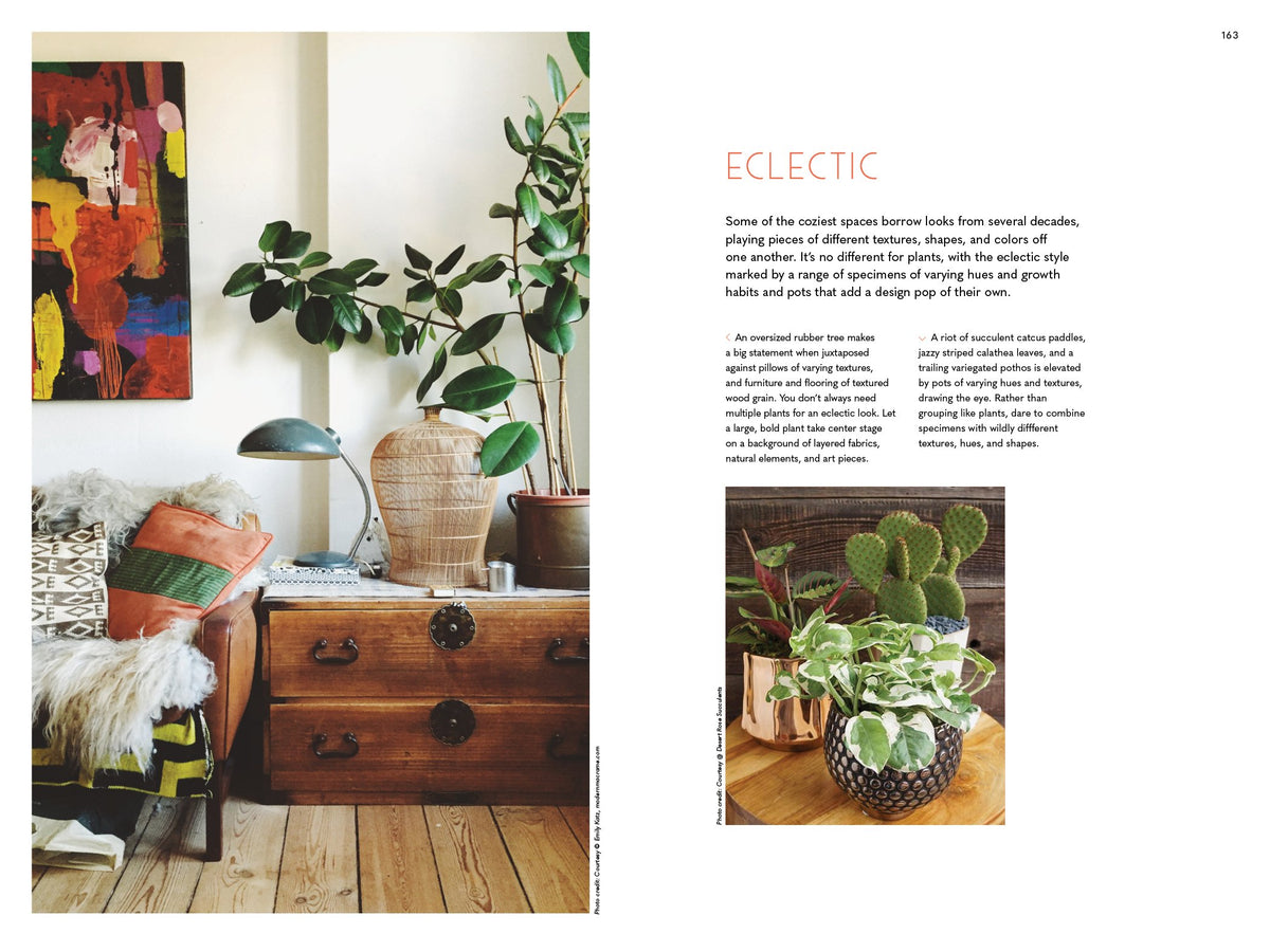The Inspired Houseplant: Transform Your Home with Indoor Plants from Kokedama to Terrariums and Water Gardens to Edibles