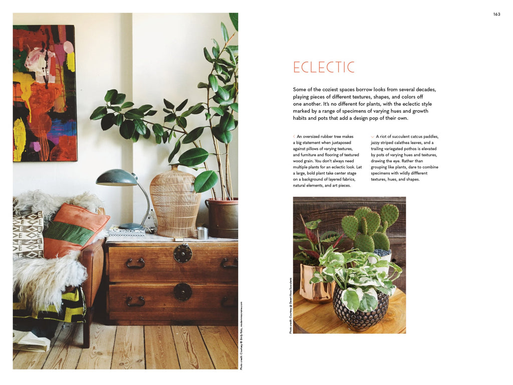 The Inspired Houseplant: Transform Your Home with Indoor Plants from Kokedama to Terrariums and Water Gardens to Edibles