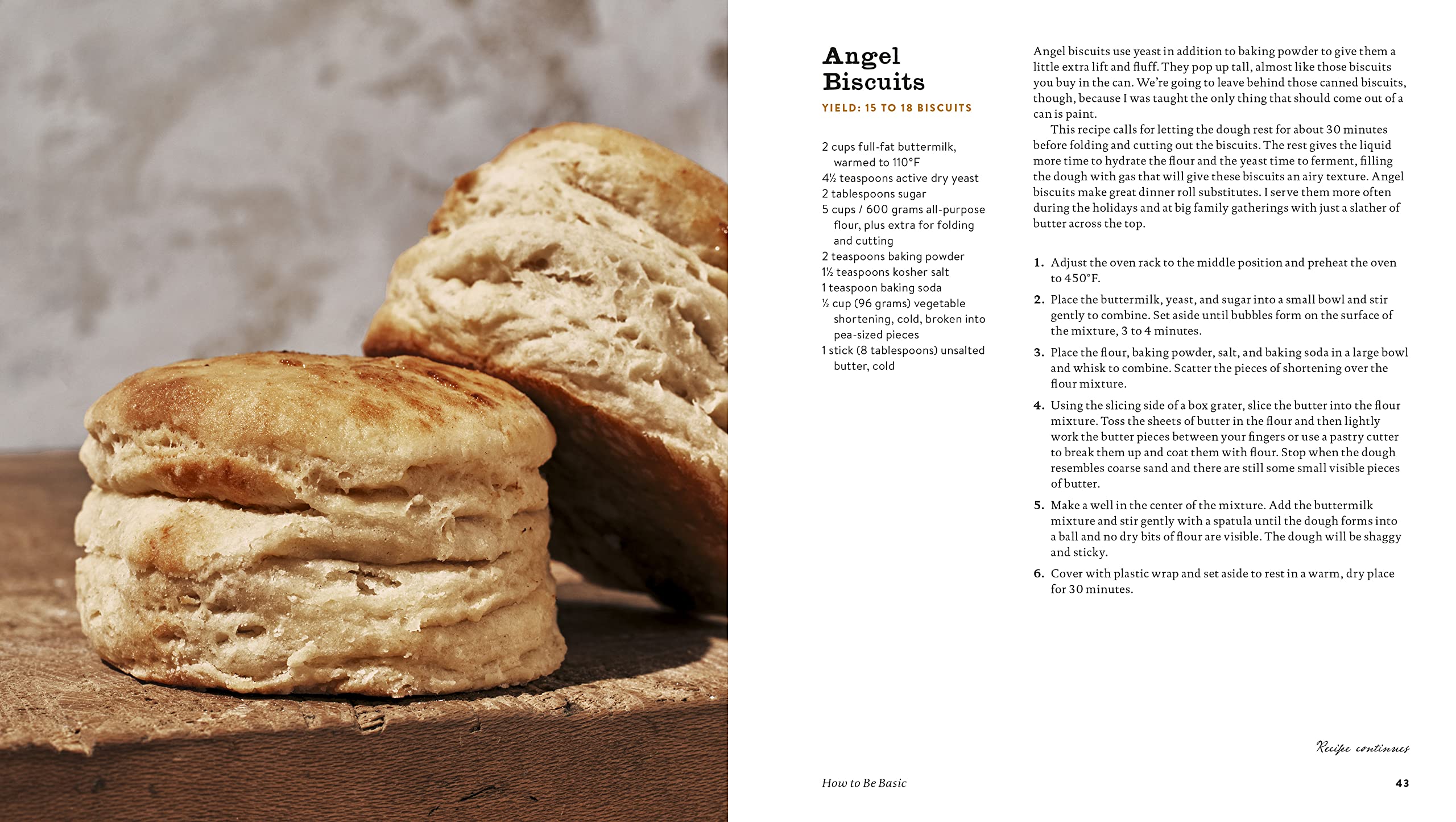 Still We Rise: A Love Letter to the Southern Biscuit with Over 70 Sweet and Savory Recipes