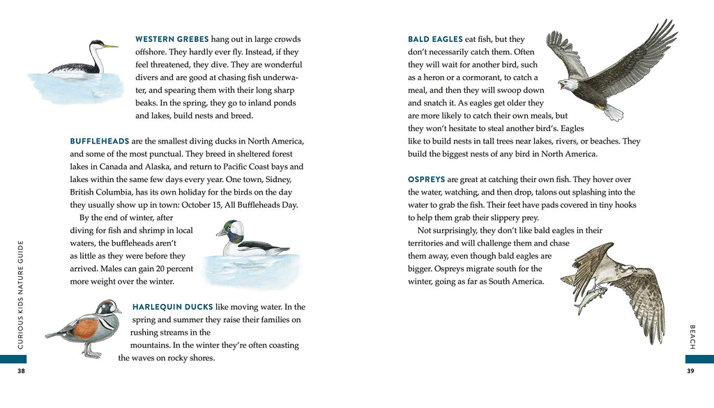 Curious Kids Nature Guide: Explore the Amazing Outdoors of the Pacific Northwest