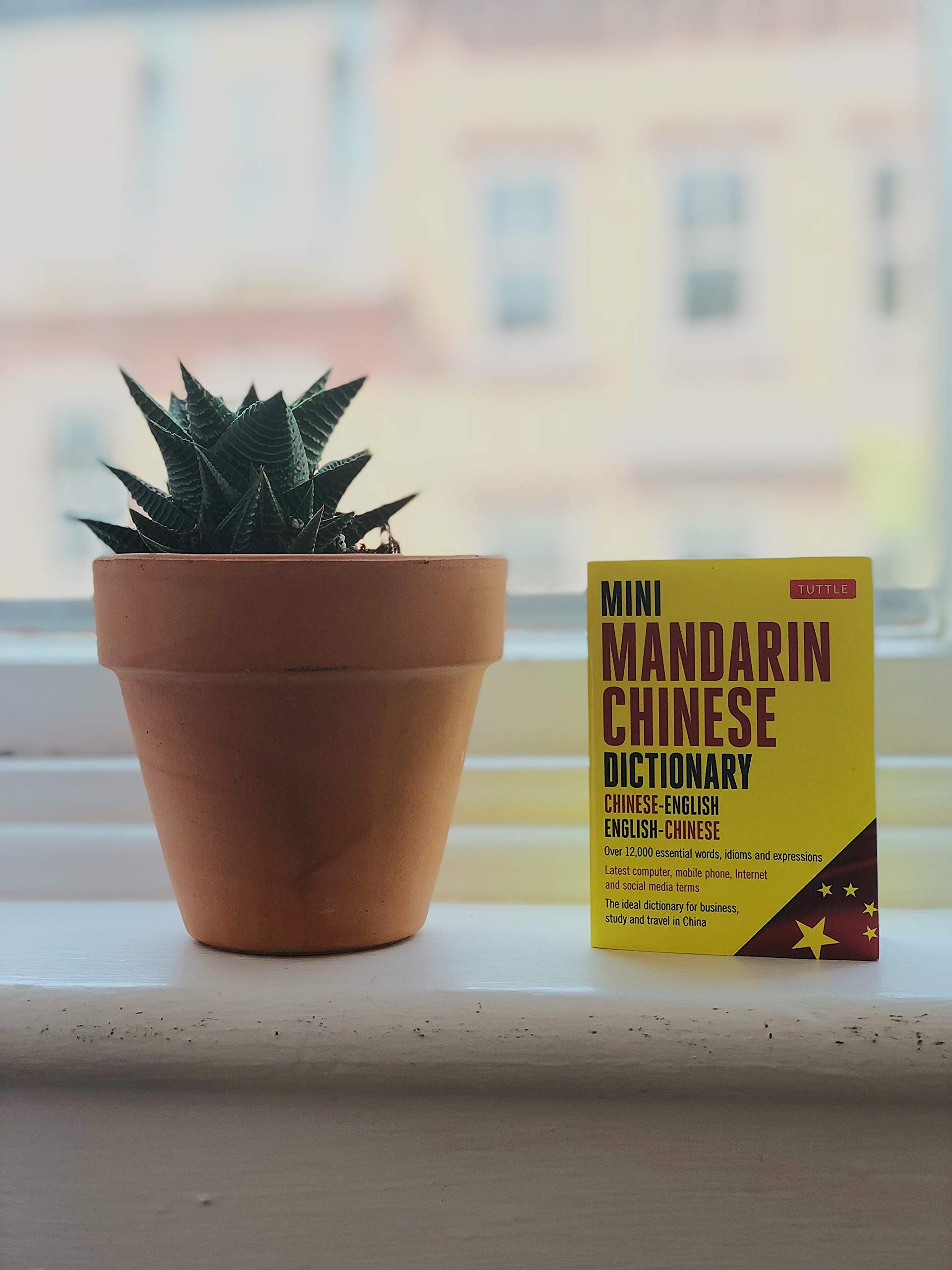 Mini Chinese Dictionary: Chinese-English English-Chinese (Tuttle Mini Dictionary)