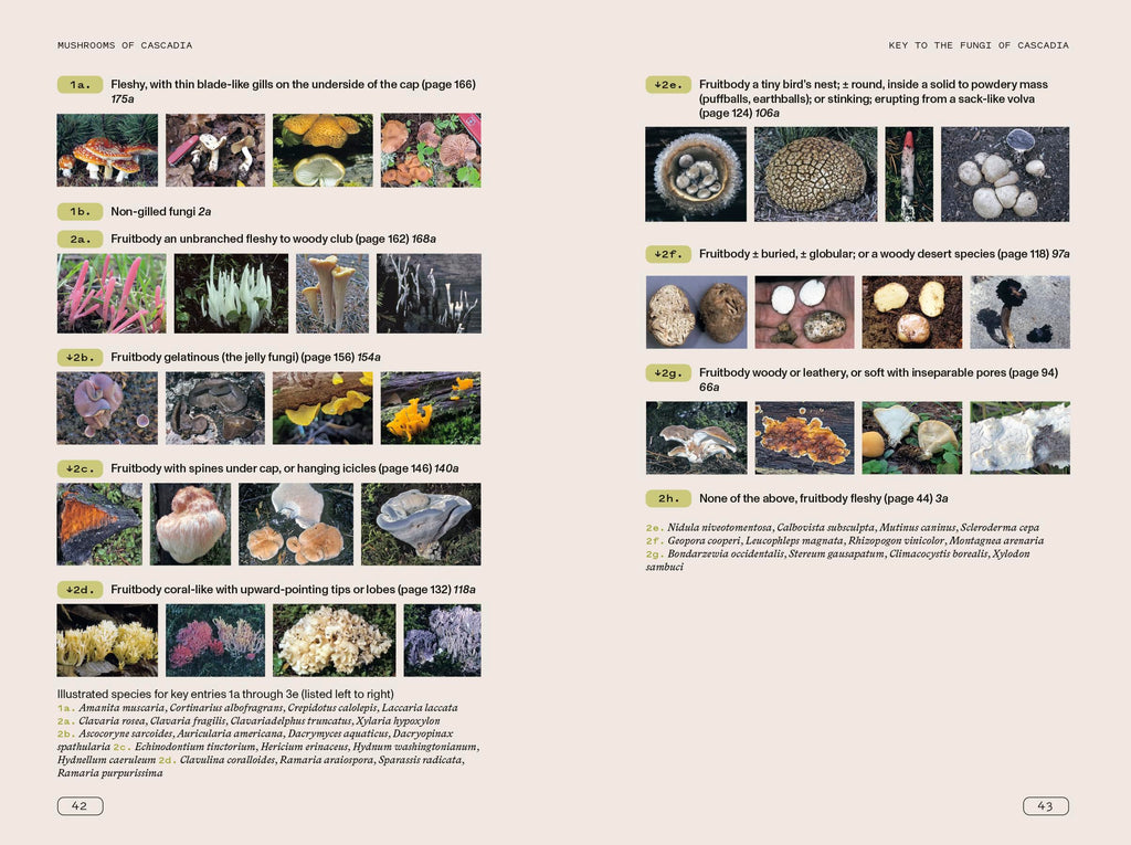 Mushrooms of Cascadia, Second Edition: An Illustrated Key to the Fungi of the Pacific Northwest