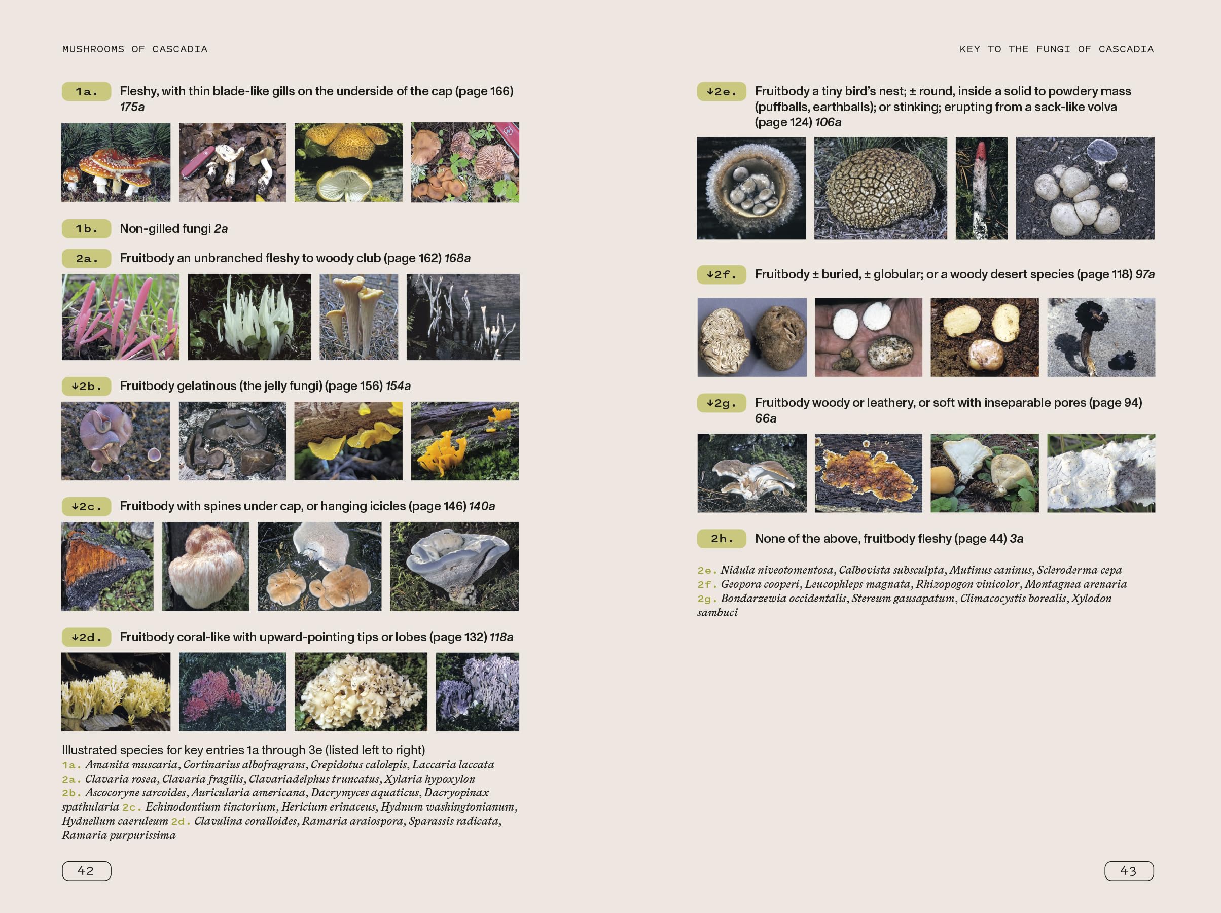 Mushrooms of Cascadia, Second Edition: An Illustrated Key to the Fungi of the Pacific Northwest
