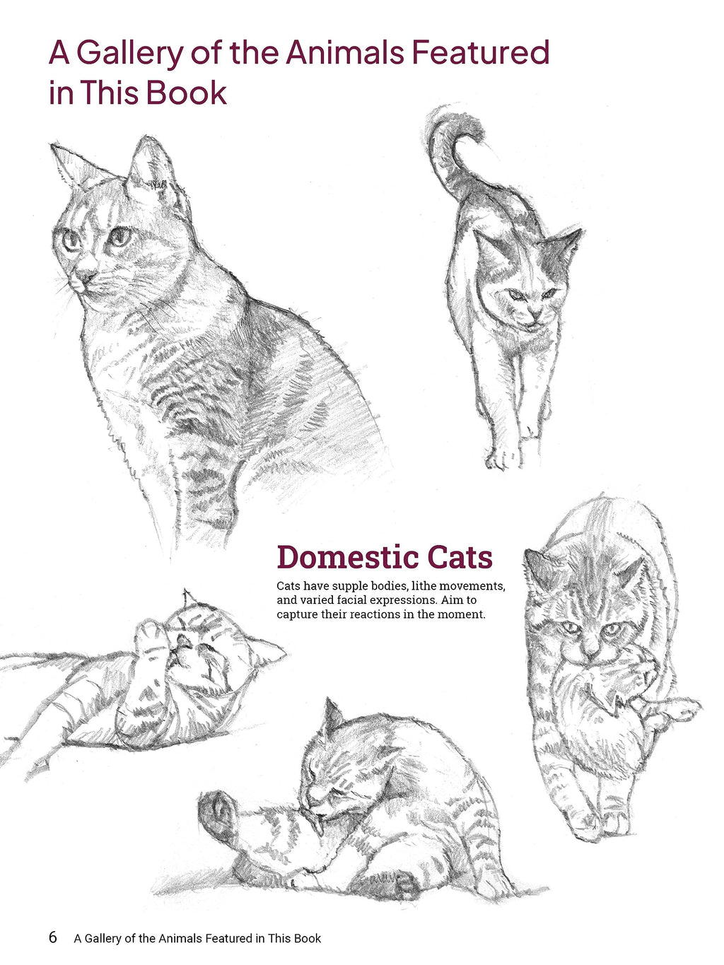 How to Draw Animals: A Visual Reference Guide to Sketching 100 Animals Including Popular Dog and Cat Breeds! (With over 800 illustrations)