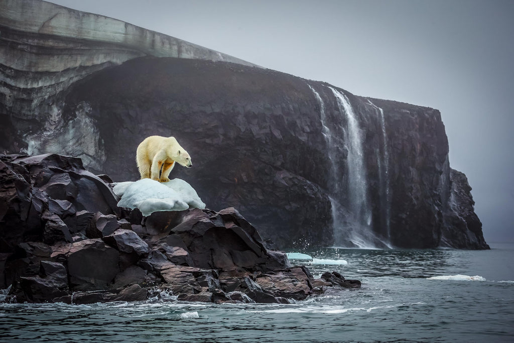 Bi-Polar: Photographs from an Unquiet Mind