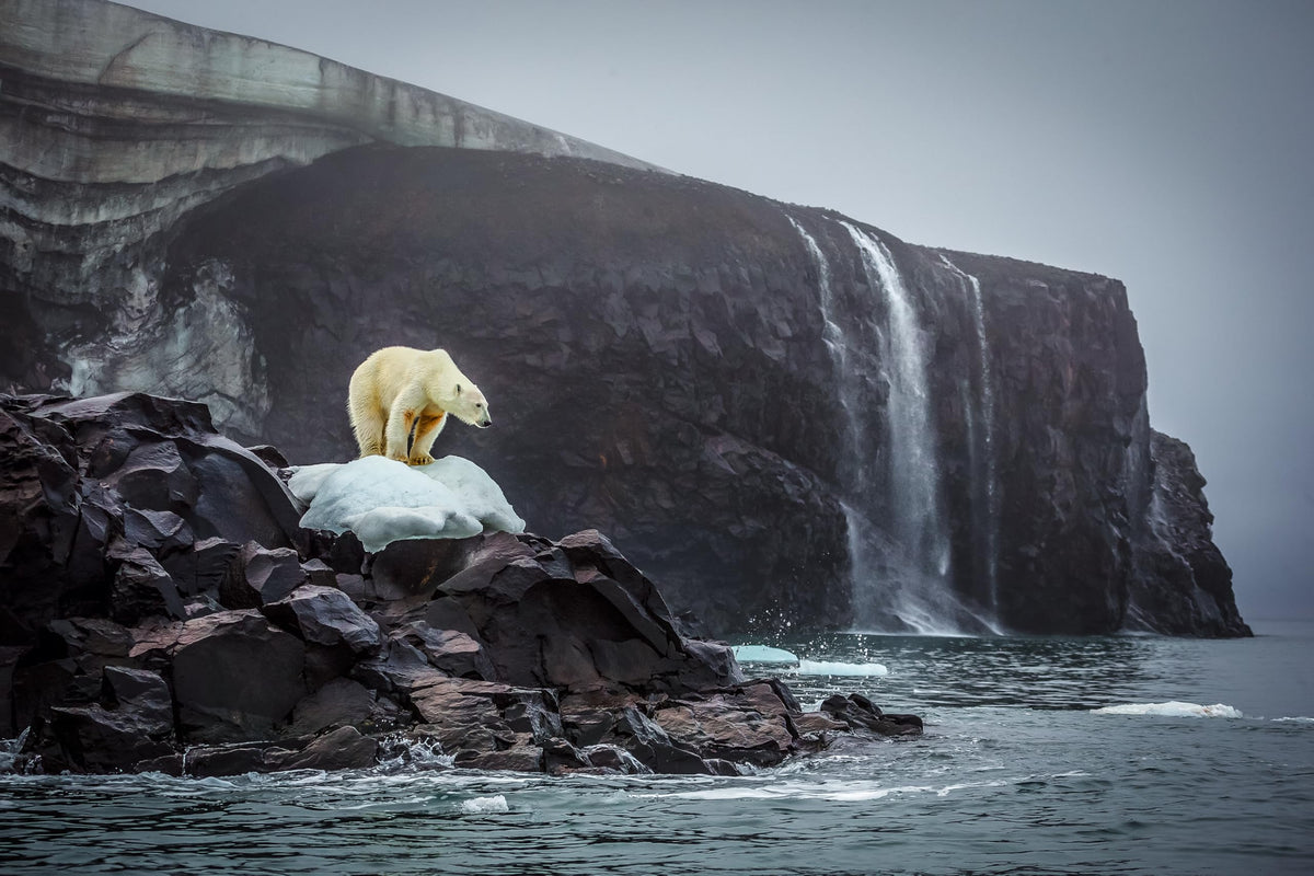 Bi-Polar: Photographs from an Unquiet Mind