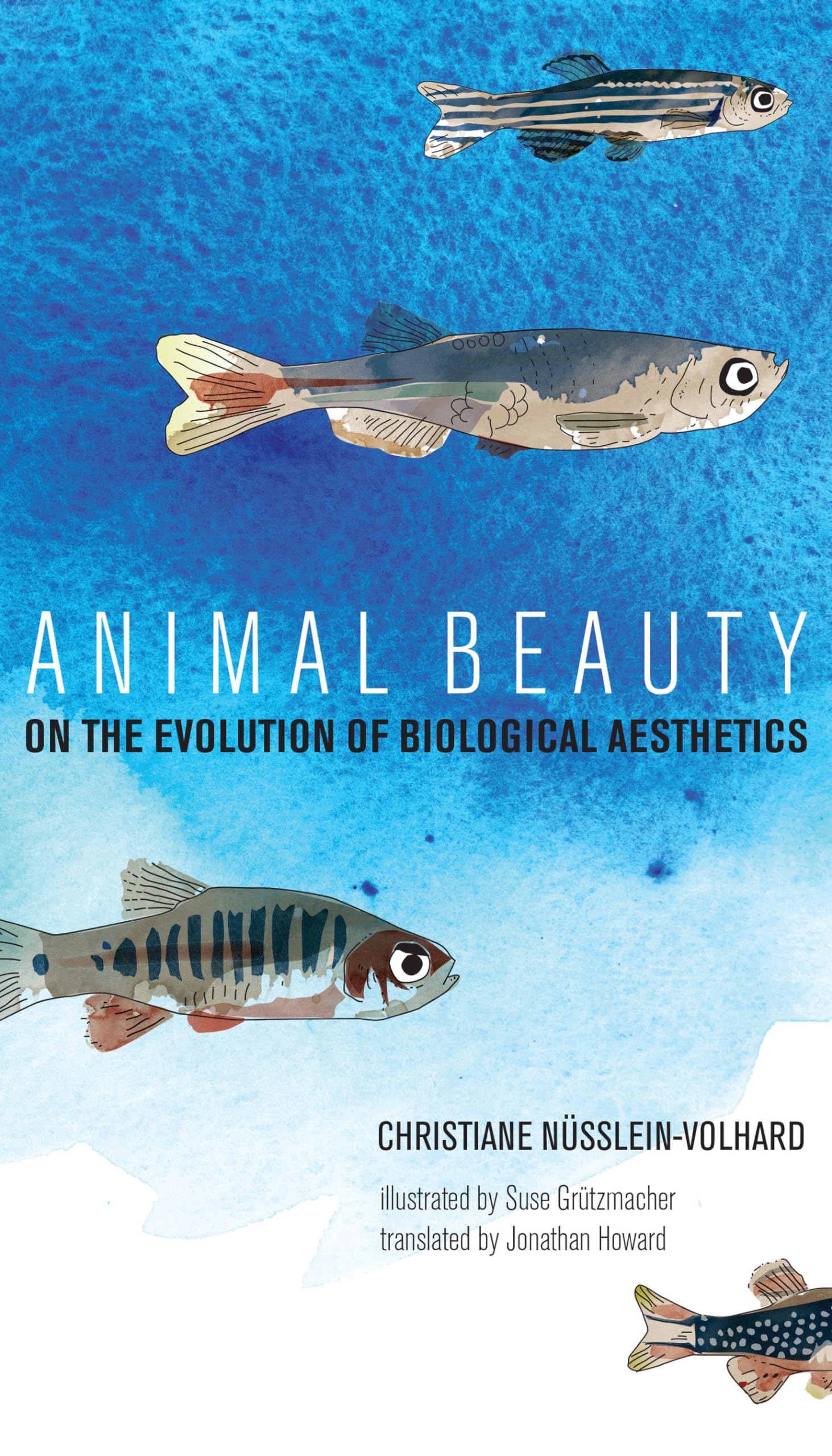 Animal Beauty: On the Evolution of Biological Aesthetics (Mit Press)