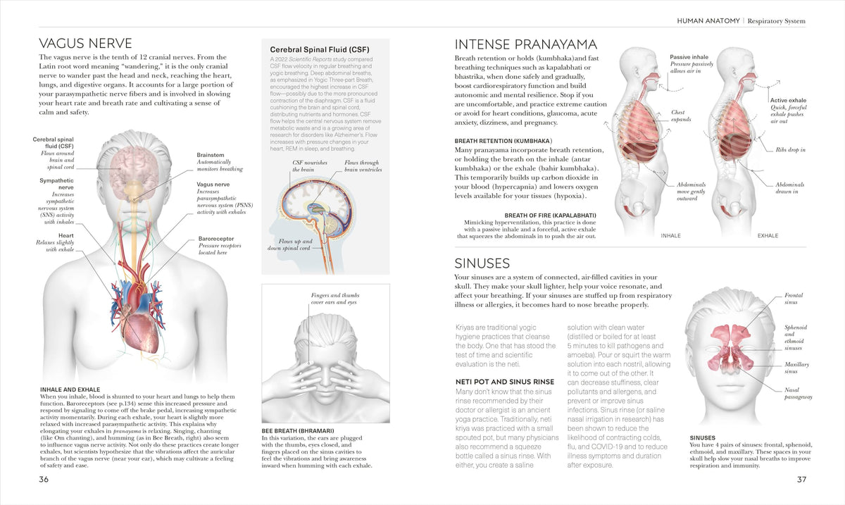Science of Yoga: Understand the Anatomy and Physiology to Perfect Your Practice (The Science of Fitness)