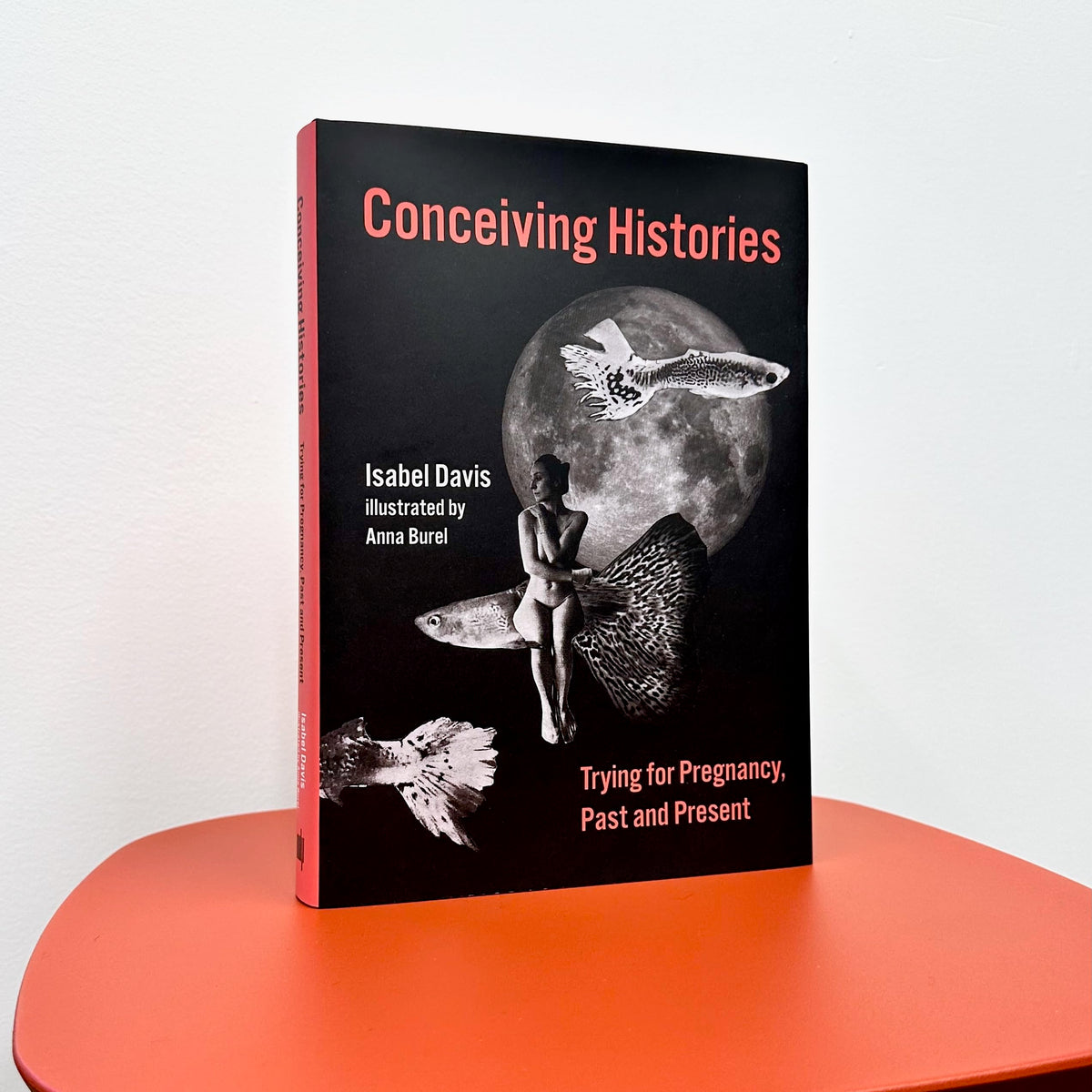 Conceiving Histories: Trying for Pregnancy, Past and Present