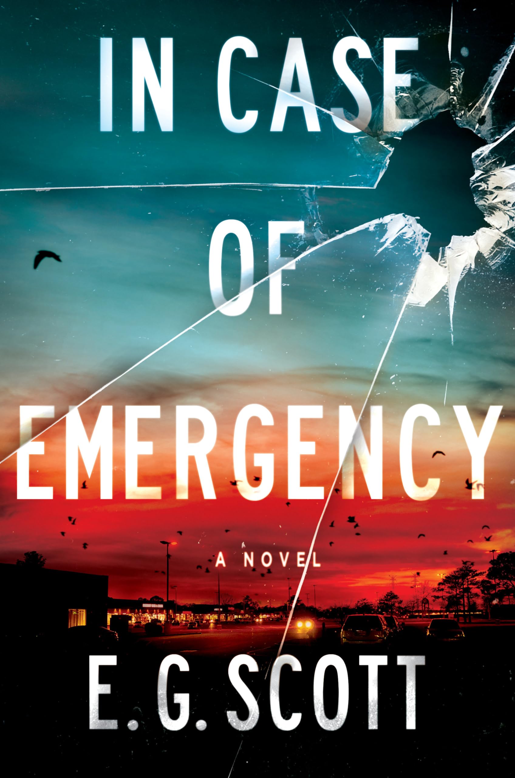 In Case of Emergency: A Novel