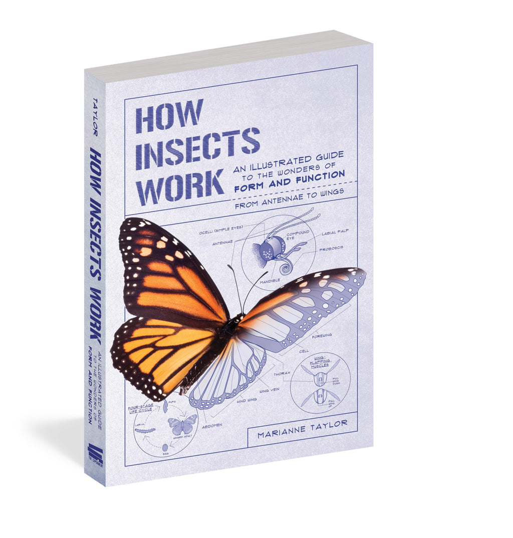 How Insects Work: An Illustrated Guide to the Wonders of Form and Function?from Antennae to Wings (How Nature Works)