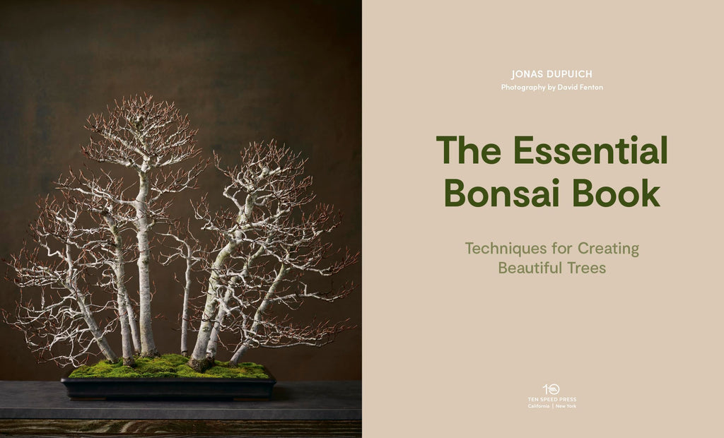 The Essential Bonsai Book: Techniques for Creating Beautiful Trees