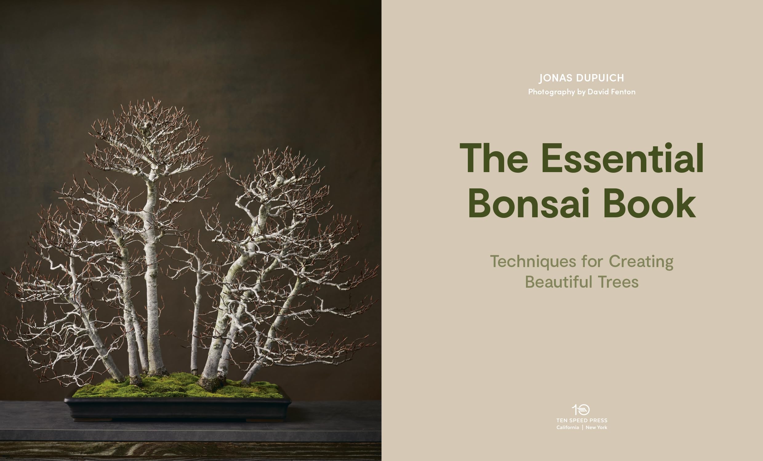 The Essential Bonsai Book: Techniques for Creating Beautiful Trees