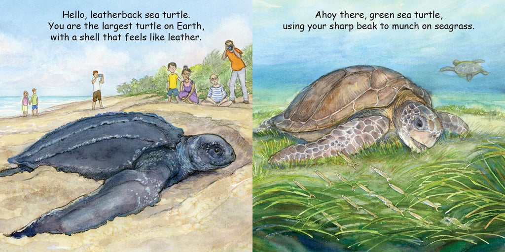 Good Night Turtles (Good Night Our World)
