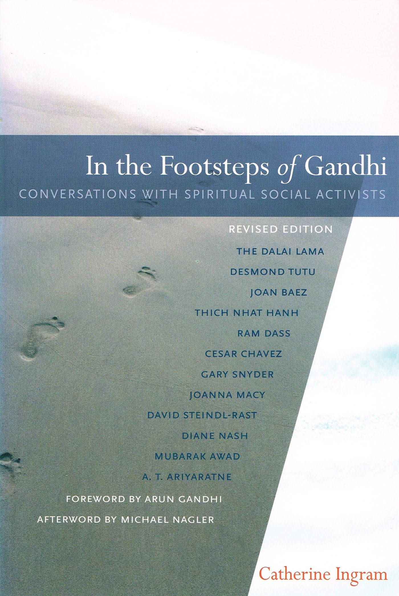 In the Footsteps of Gandhi: Conversations with Spiritual Social Activists
