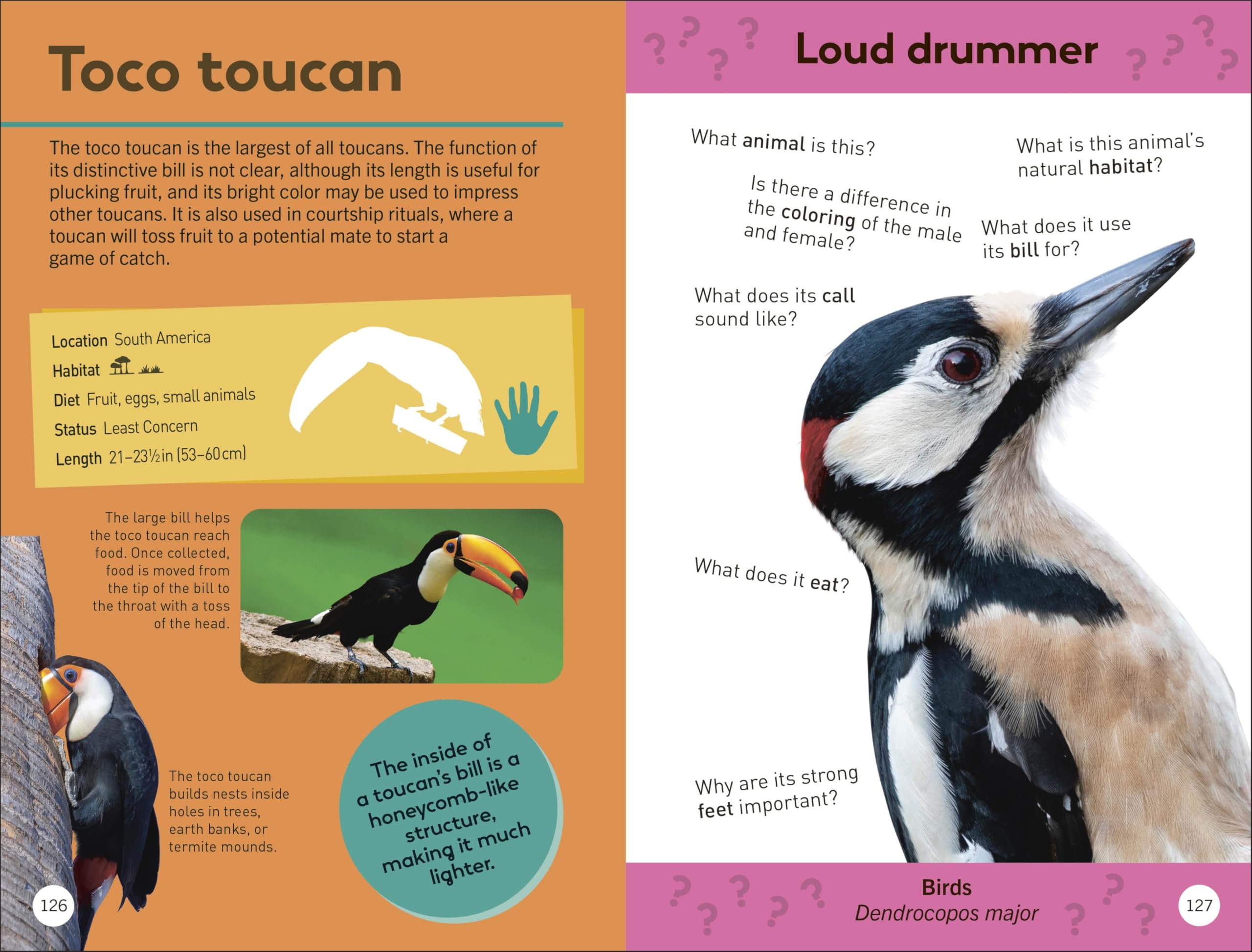 Quiz Yourself Clever! Animals of the World
