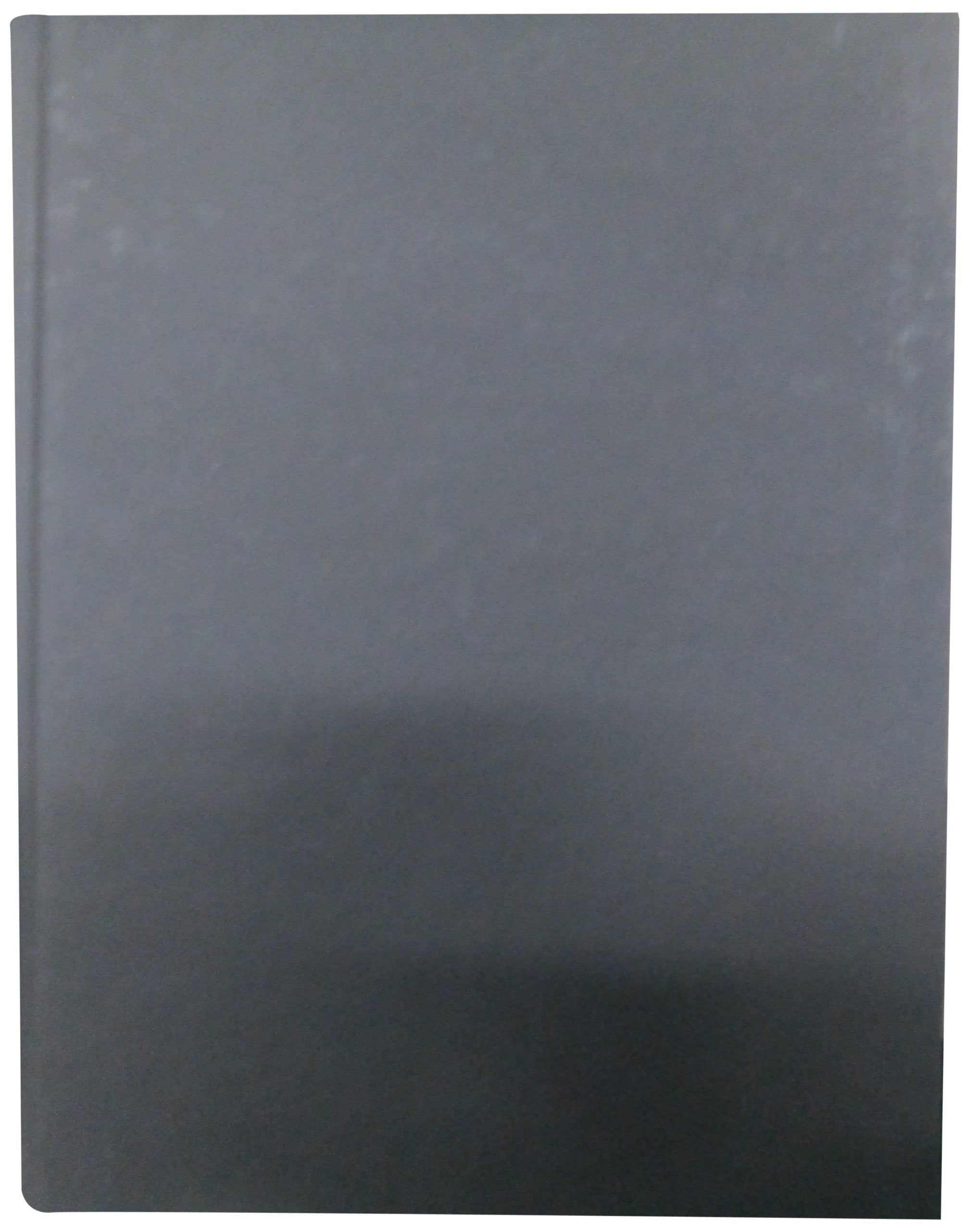 Foundational Issues in Human Brain Mapping (Bradford Books)