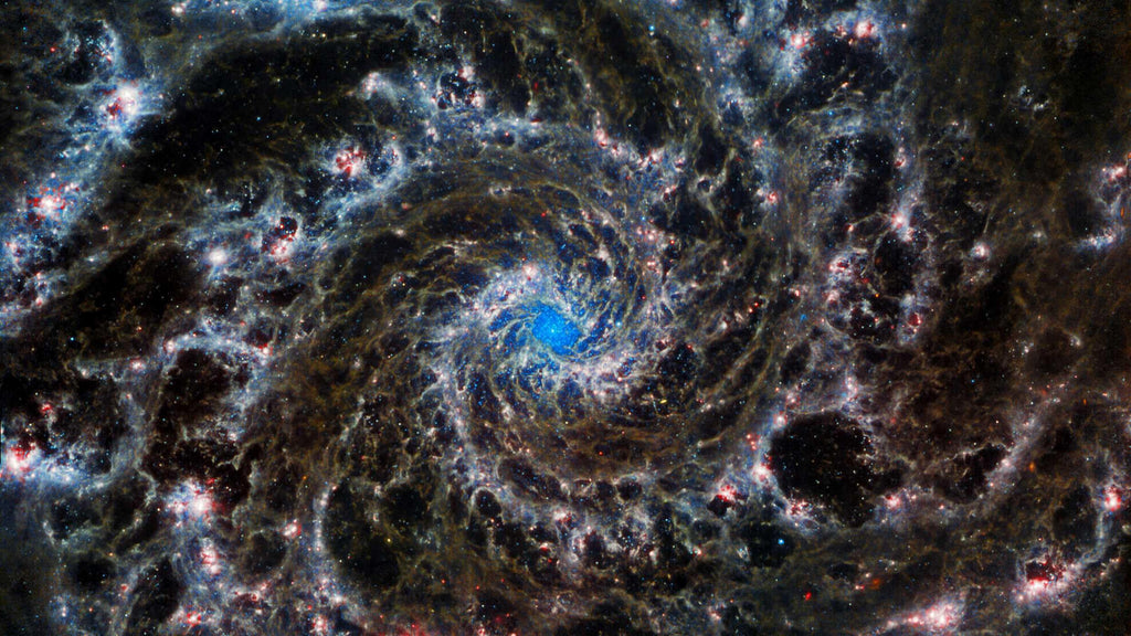 The Secret Life of the Universe: An Astrobiologist's Search for the Origins and Frontiers of Life