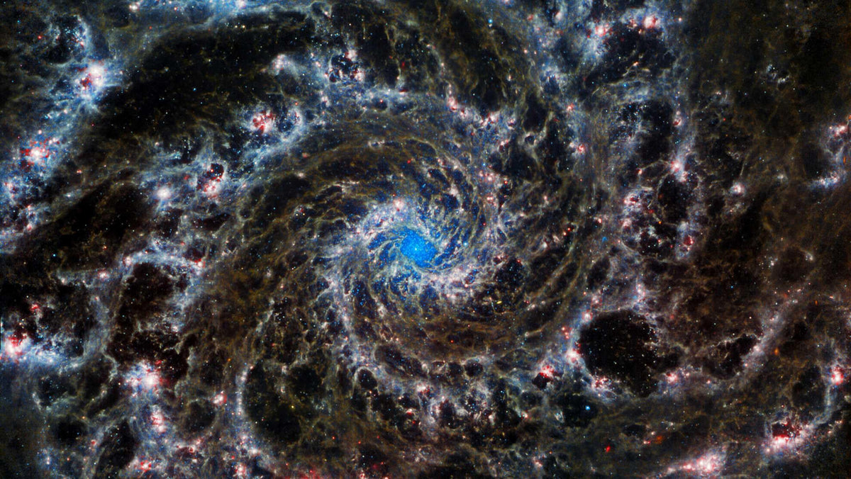 The Secret Life of the Universe: An Astrobiologist's Search for the Origins and Frontiers of Life
