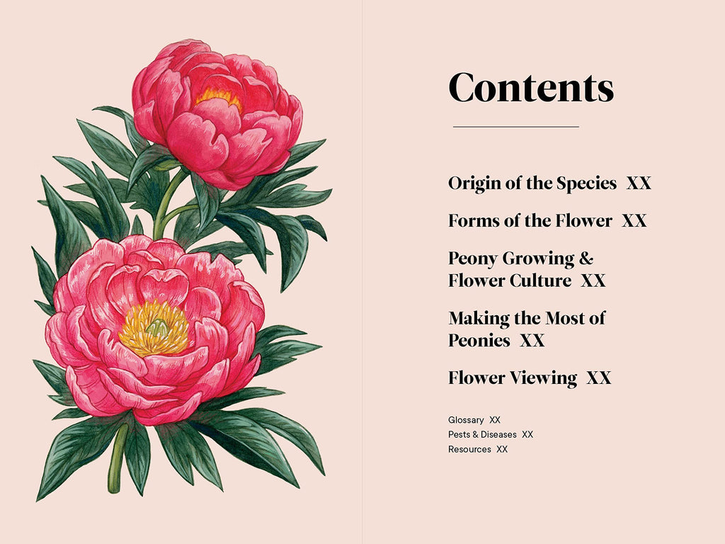 Peonies: A Little Book of Flowers (Little Book of Natural Wonders)