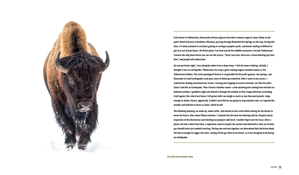 Parklands: America’s National Parks and Public Lands